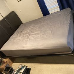 Clean Queen Bed And Frame 