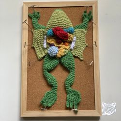Crochet Dissected Frog