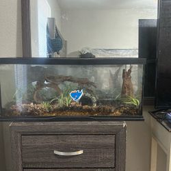 Fish And Reptile Tanks 