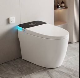 smart toilet