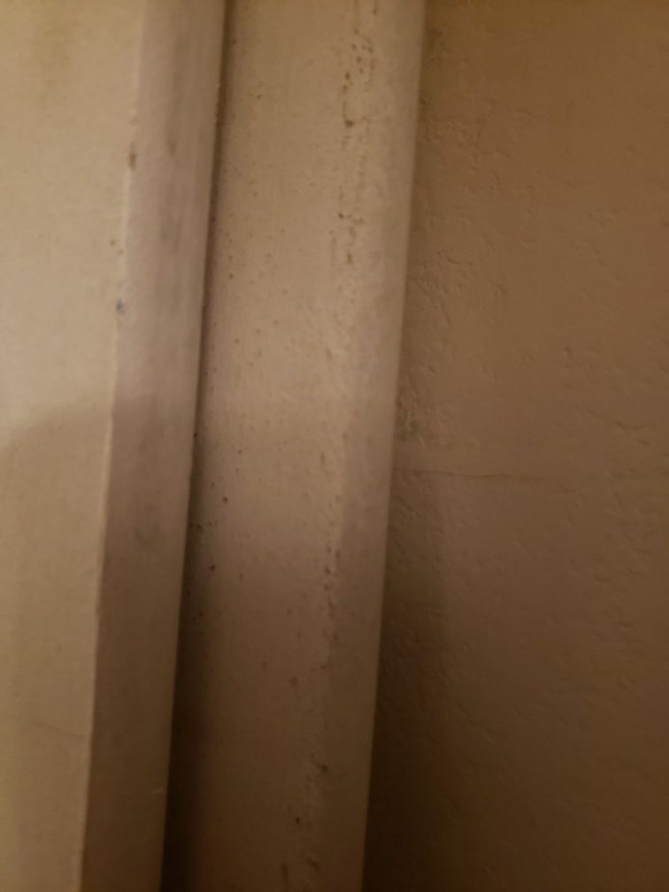 Four 6' Bullnose MDF shelving board, painted white. for Sale in