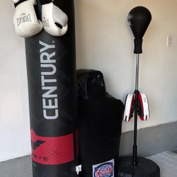 Home Boxing/MMA Setup 