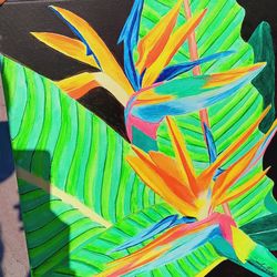 Birds Of paradise Artwork 🎨