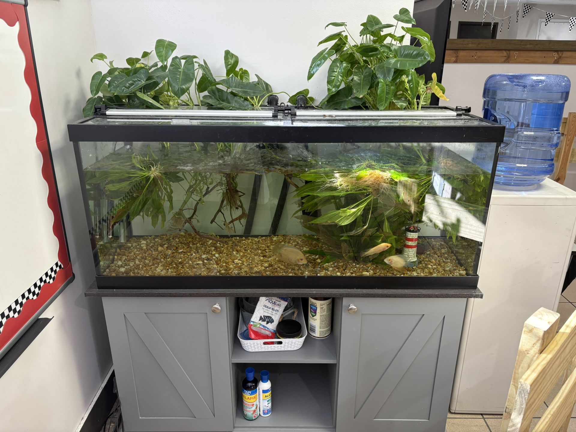 75 Gallon Fish Tank Aquarium + Lights