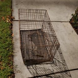 dog crate/ Cat Crate