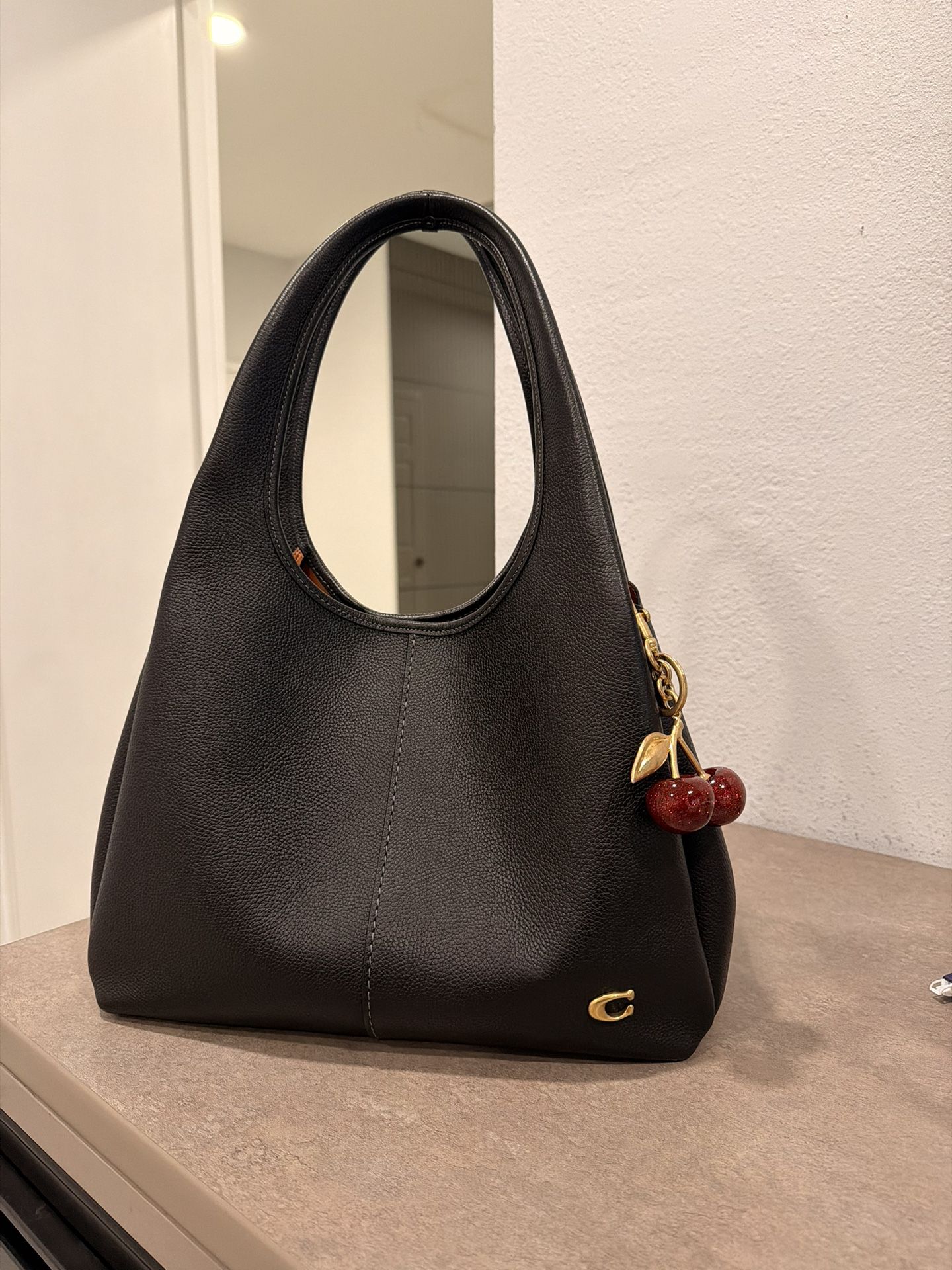 Coach Lana Bag (Large) 