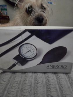 Sphygmometer