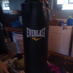 Everlast Punching Bag 