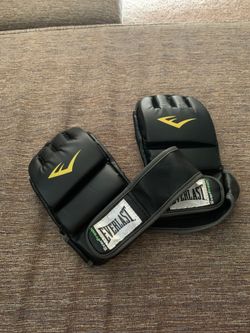 Everlast Punching gloves