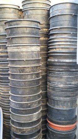 3 for $1 One Gallon Plant Pots