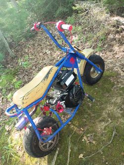 Baja doodlebug