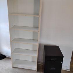 Shelf & File Cabinet 
