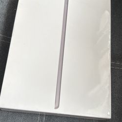 iPad 9th Generation 