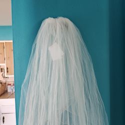 Mid Length Scalloped Ivory Veil