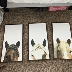 Wall Picture Frames