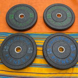 SET OF PARABABE 45 LB. & 25 LB  BUMPER PLATES  (LIKE NEW)