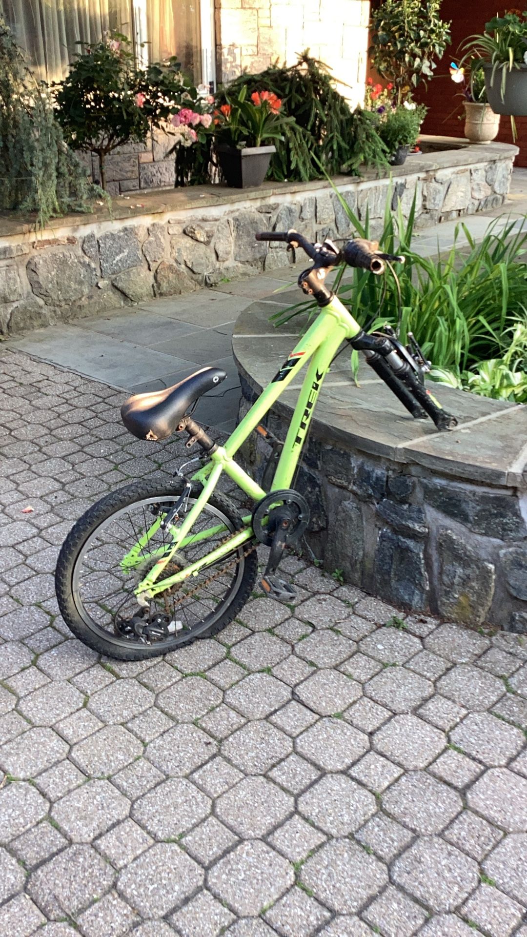 Modded Trek Bike