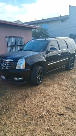 2007 escalade