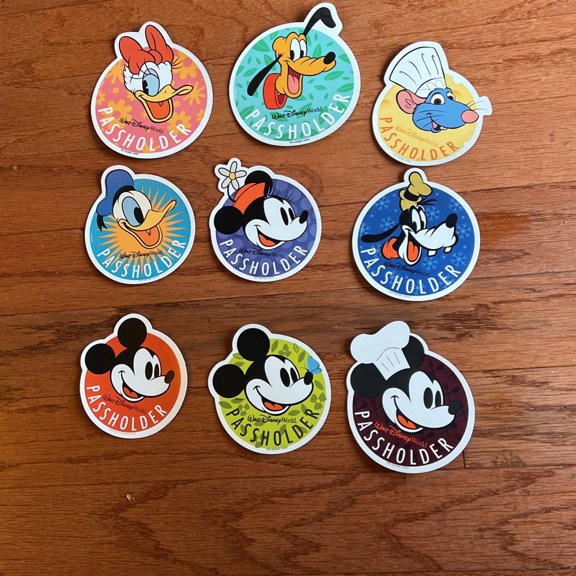 Disney world Passholder Magnet