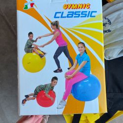 Exercise Ball