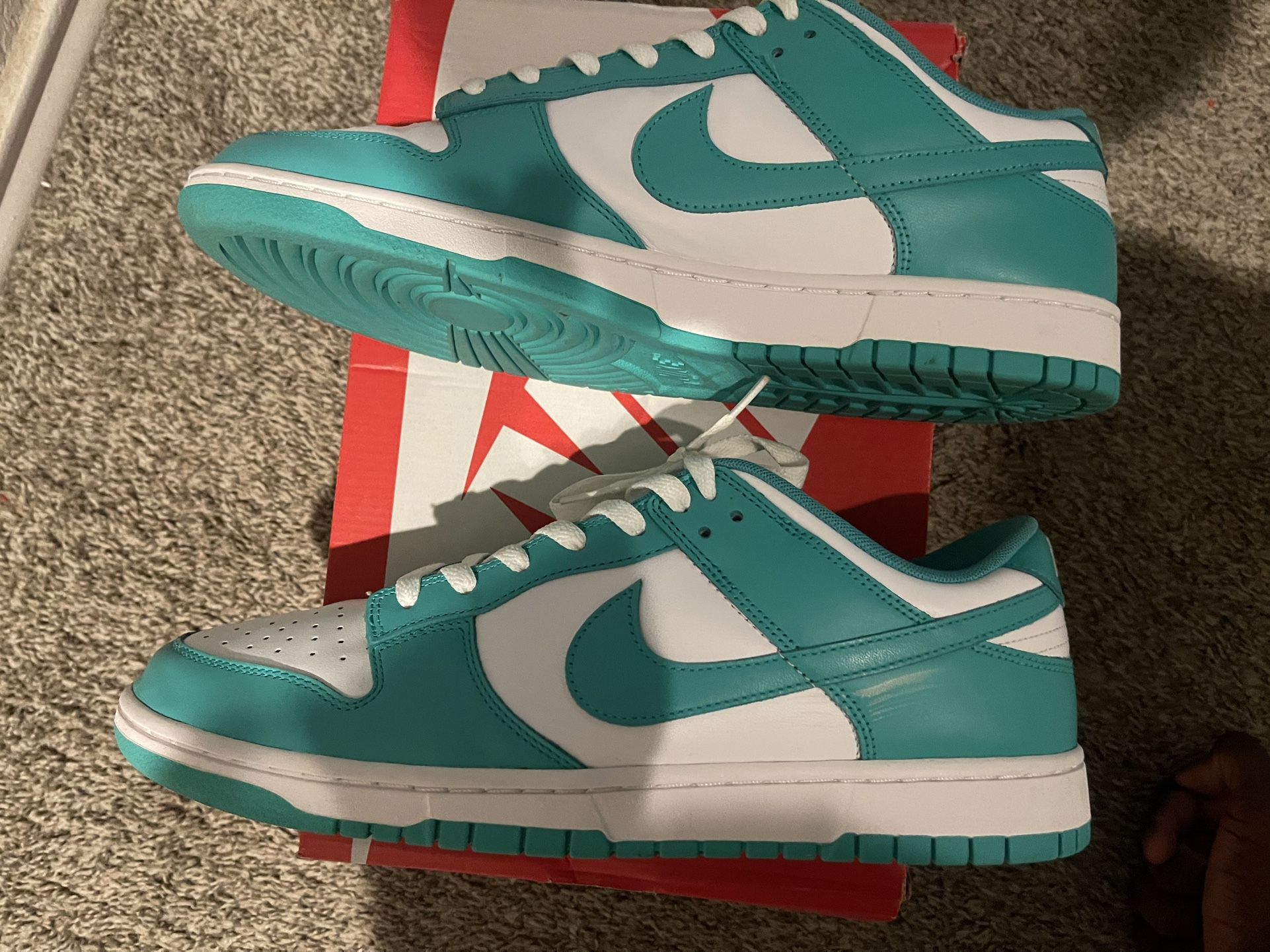 Nike dunk size 13