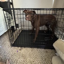 Large Dog Crate