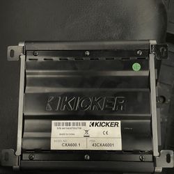 Amp