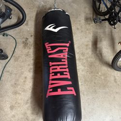 Everlast Heavy bad (100 Lbs)