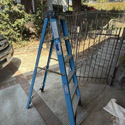 Werner 6’ Ladder