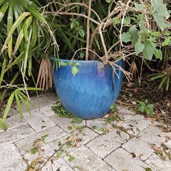 pots for plants, large size, Medium Size. 