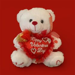 Valentine’s Day Teddy Bear 