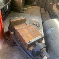 Large Heavy Vice