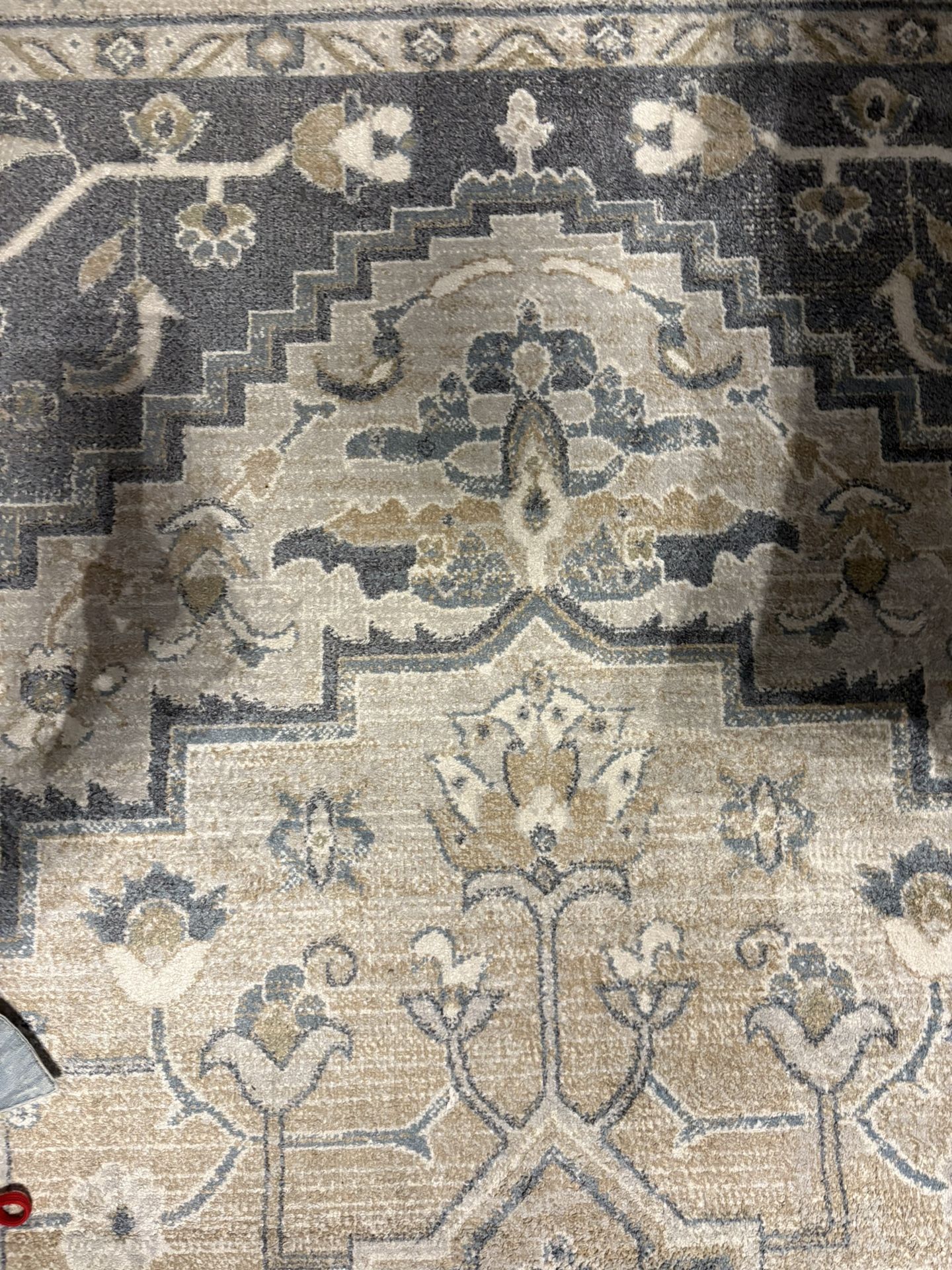 Rug 12x10