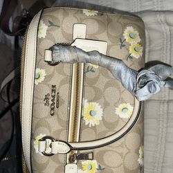 Coach Daisy Purse With Matching Wallets And Tory Burch Twilly 