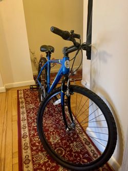 Blue Bike 