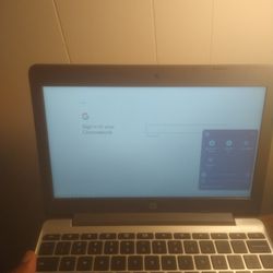 Chromebook 11.6  HD Display 