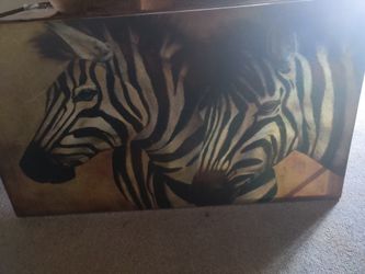 Zebra Canvas Pictures