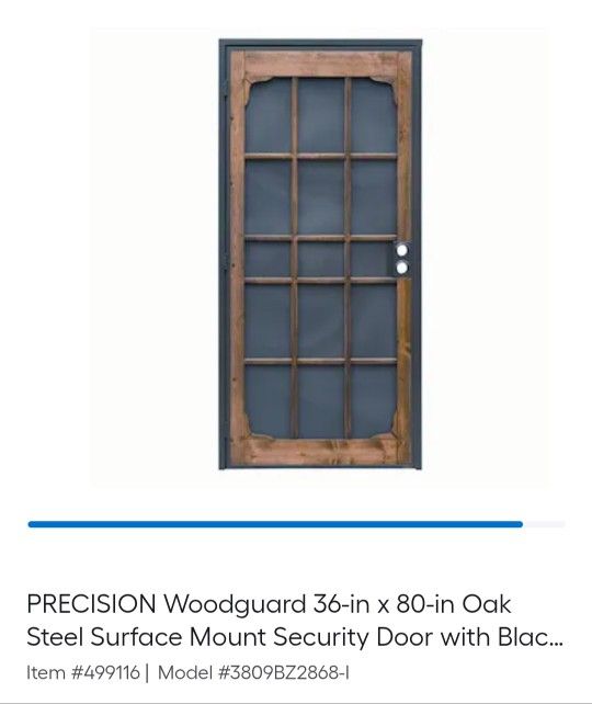 Woodguard Steel Security Door