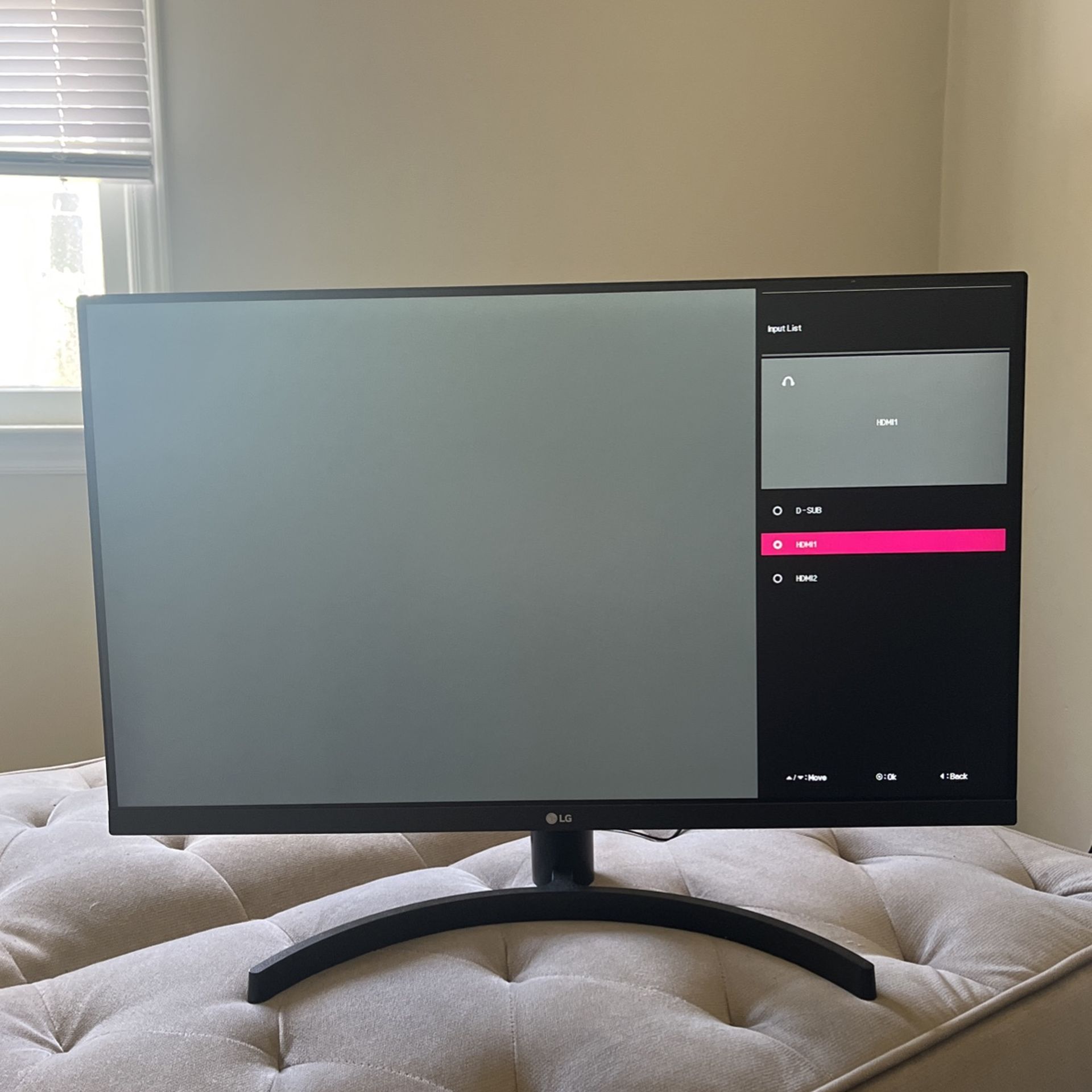 27 Inch 75hz LG Monitor