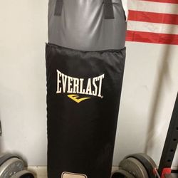 Everlast Heavy Bag