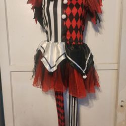 Harley Quin Girl Costume