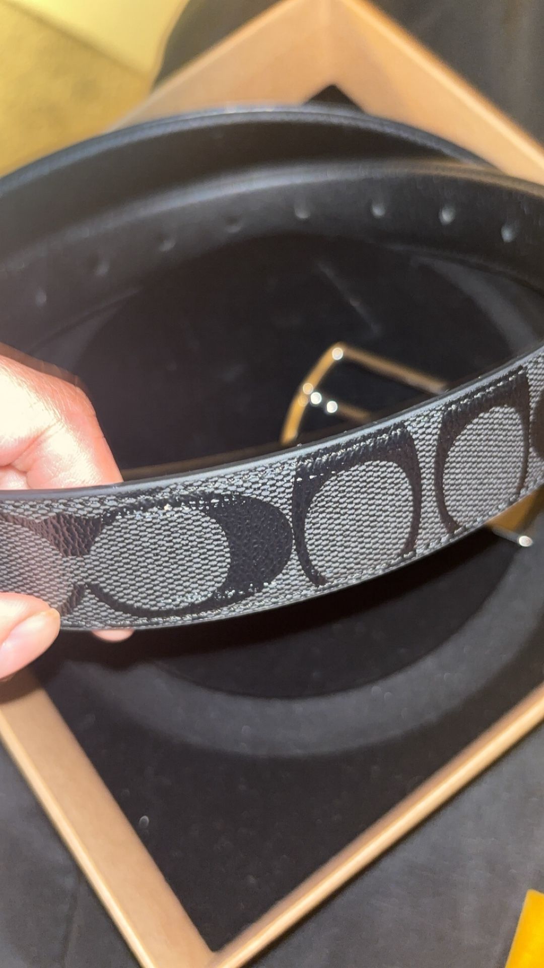 Coach Belt