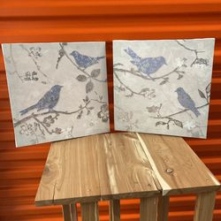 Birds Paints