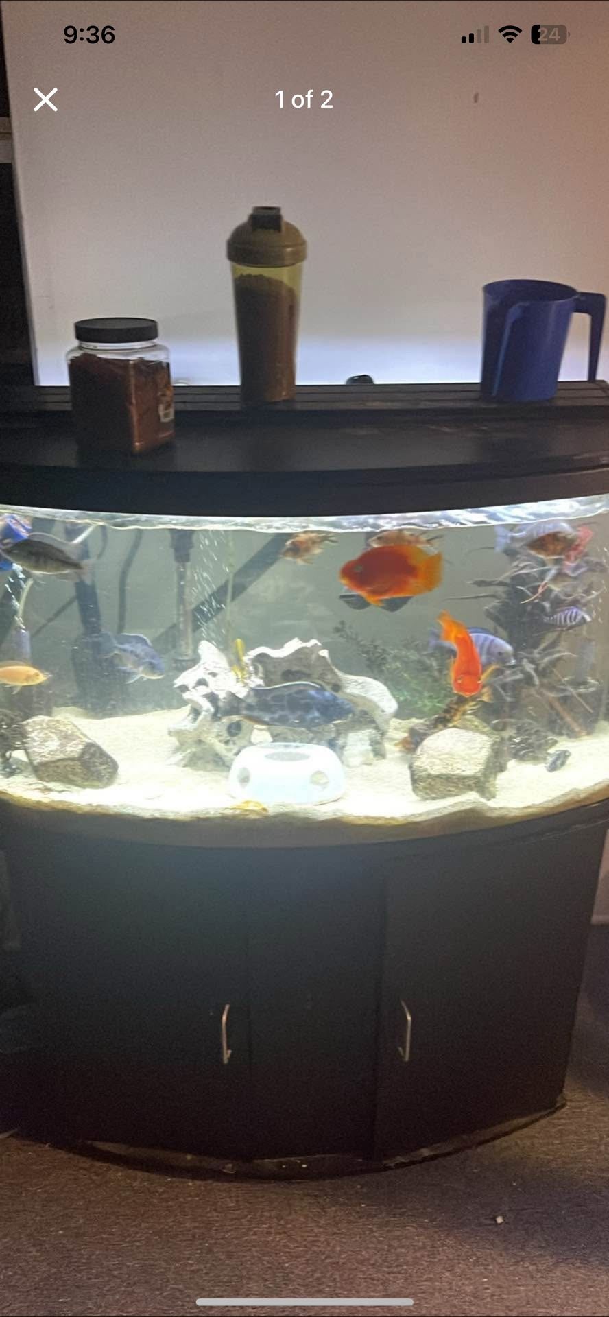 Full Aquarium 55gal With Filter Food And Chemical