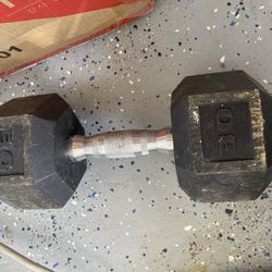 30 Lb Weight