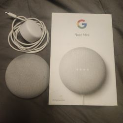 Google Nest Mini