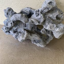 Extra Large Aquatic Decor Best Offer