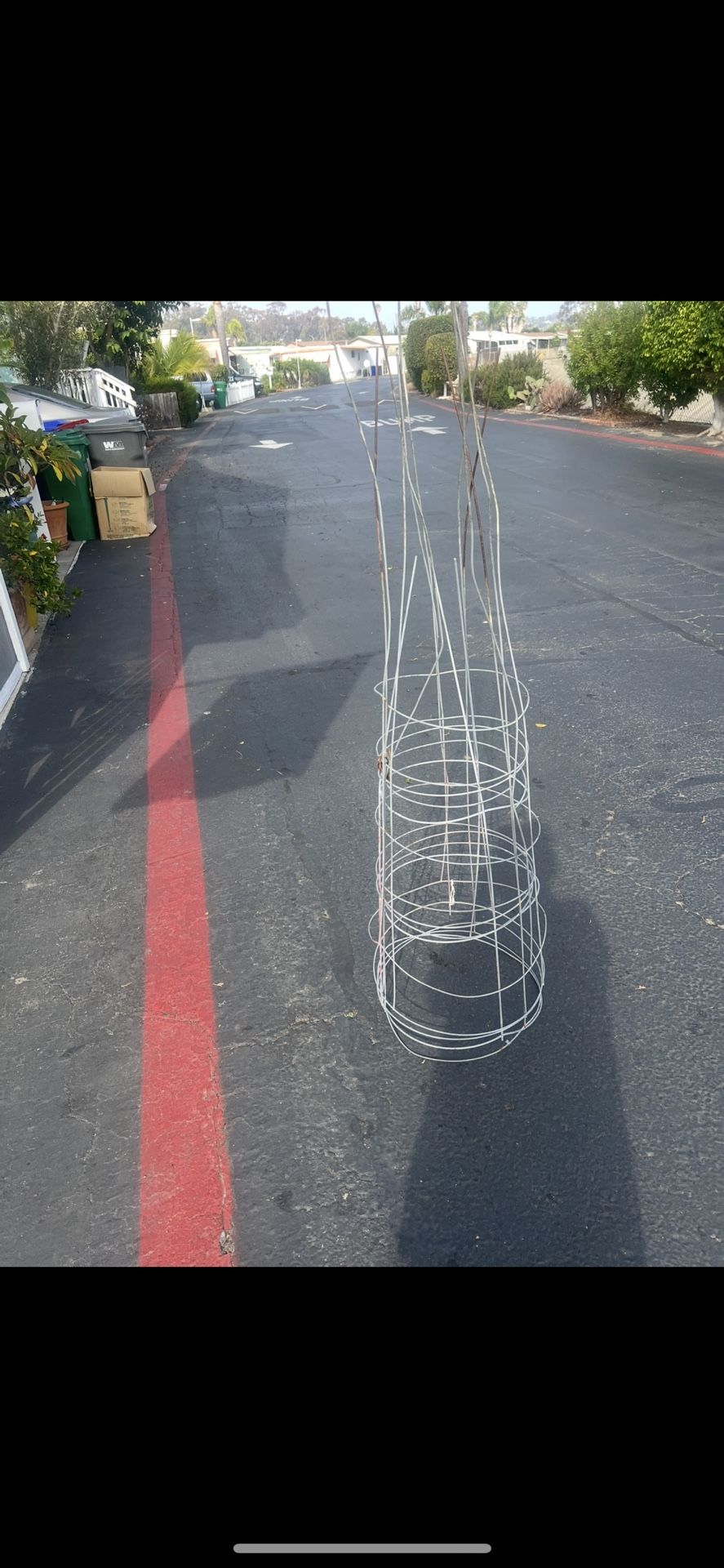 5 Tomato Cages