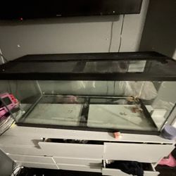 75 Gallon Tank 