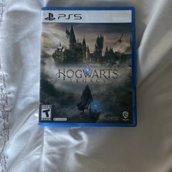 Hogwarts Legacy